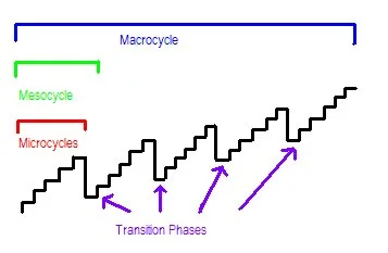 Wave periodization diagram used by strength coaches for intermediate and advanced resistance training