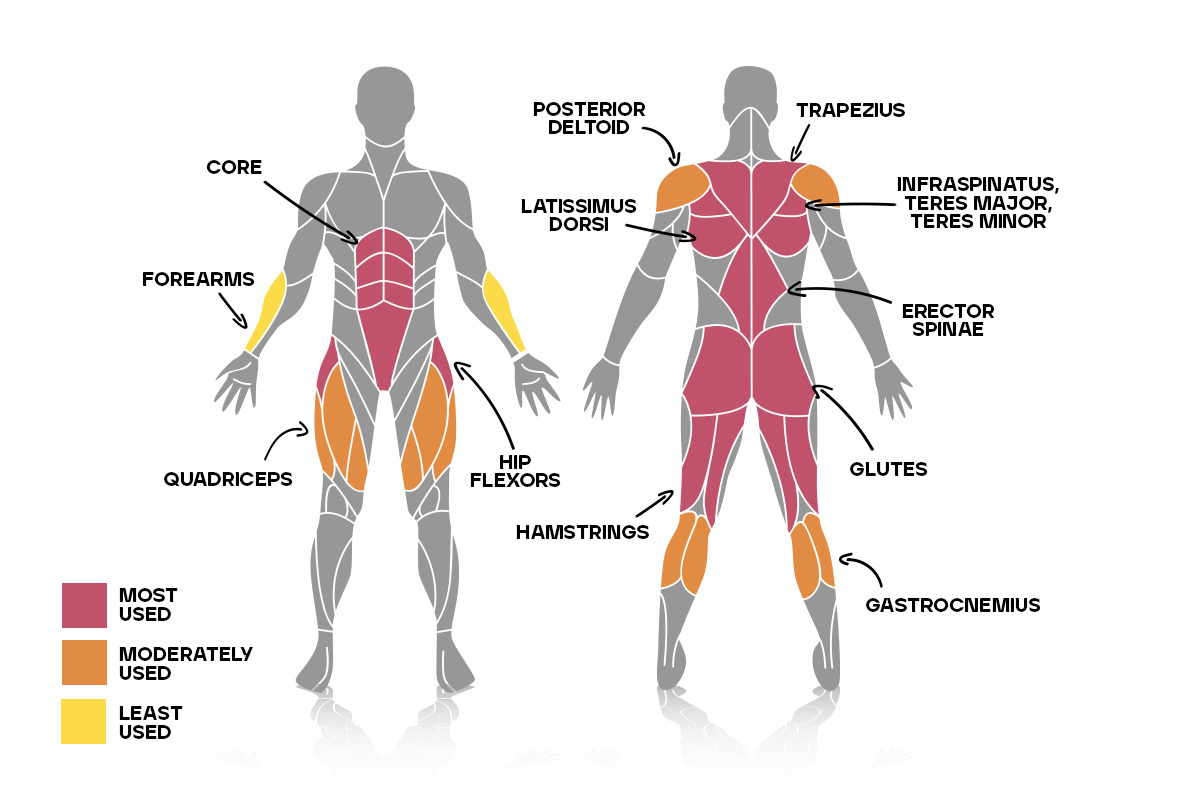 Deadlift weak points - hamstring and back failure points